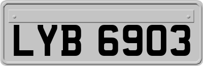 LYB6903