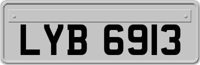 LYB6913
