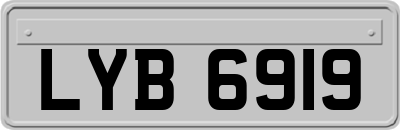 LYB6919