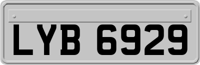 LYB6929