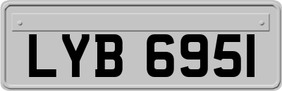 LYB6951