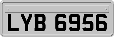 LYB6956