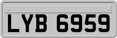 LYB6959