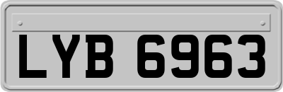 LYB6963