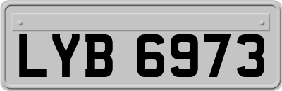 LYB6973