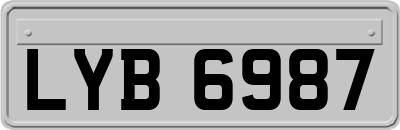 LYB6987