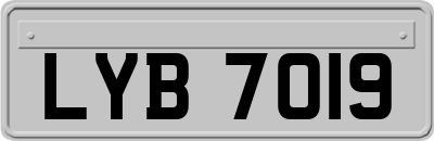 LYB7019