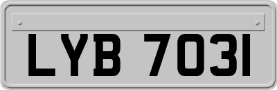 LYB7031