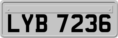 LYB7236