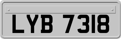 LYB7318