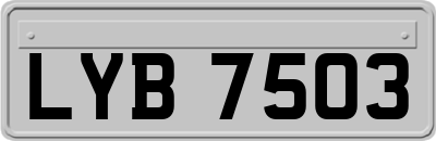 LYB7503