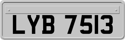LYB7513