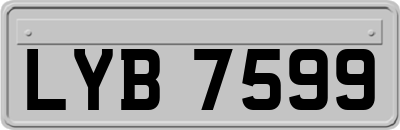 LYB7599