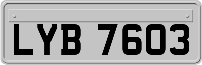 LYB7603
