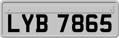 LYB7865