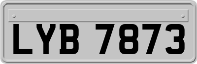 LYB7873
