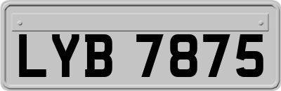 LYB7875