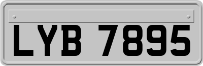 LYB7895