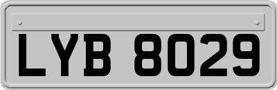 LYB8029
