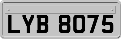 LYB8075