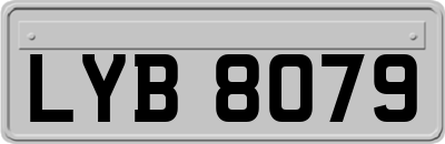 LYB8079