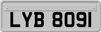 LYB8091