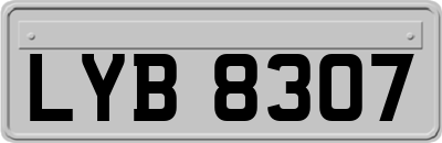 LYB8307