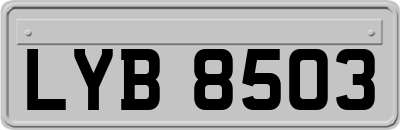 LYB8503