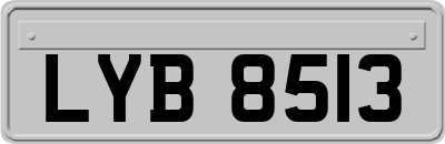 LYB8513
