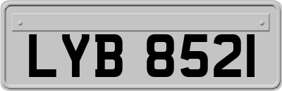 LYB8521