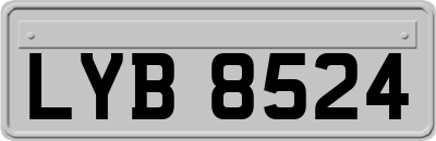 LYB8524