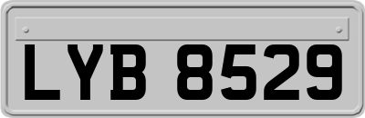 LYB8529