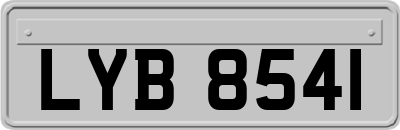 LYB8541
