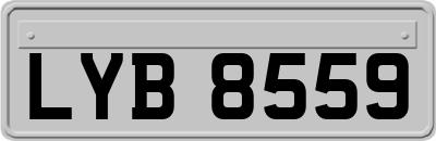 LYB8559