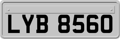 LYB8560