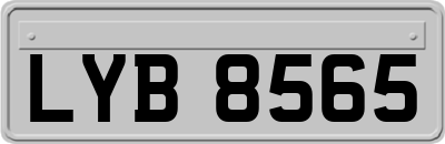 LYB8565