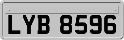 LYB8596
