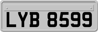 LYB8599