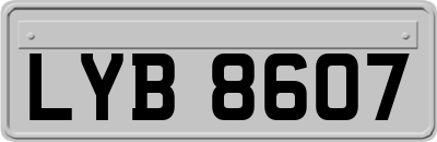LYB8607