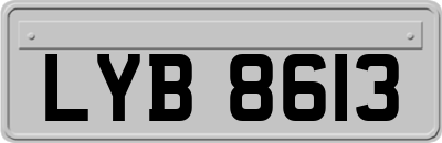 LYB8613