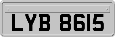 LYB8615