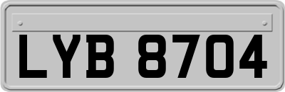 LYB8704