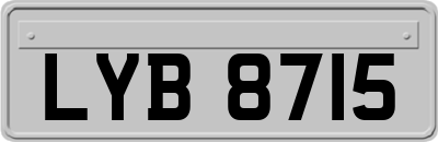 LYB8715