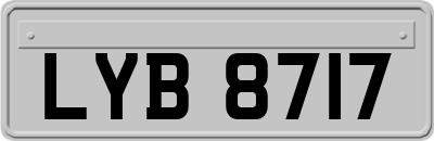 LYB8717