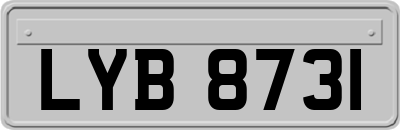LYB8731