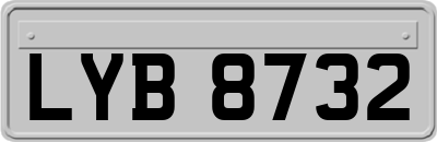 LYB8732