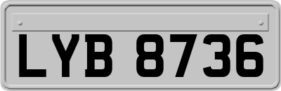 LYB8736