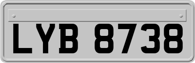 LYB8738