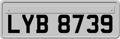 LYB8739