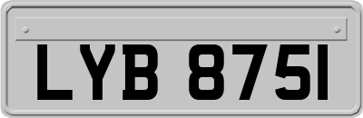 LYB8751